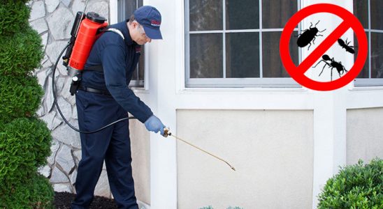 Kırşehir Bit İlaçlama böcek ilaçlama ve haşere kontrolü — ilaclama-tr.com